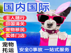 龙洞堡机场货运国际宠物托运 【国